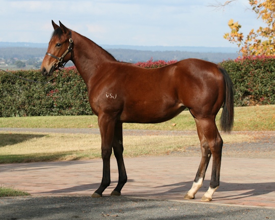 Citi Serenade - photo 1