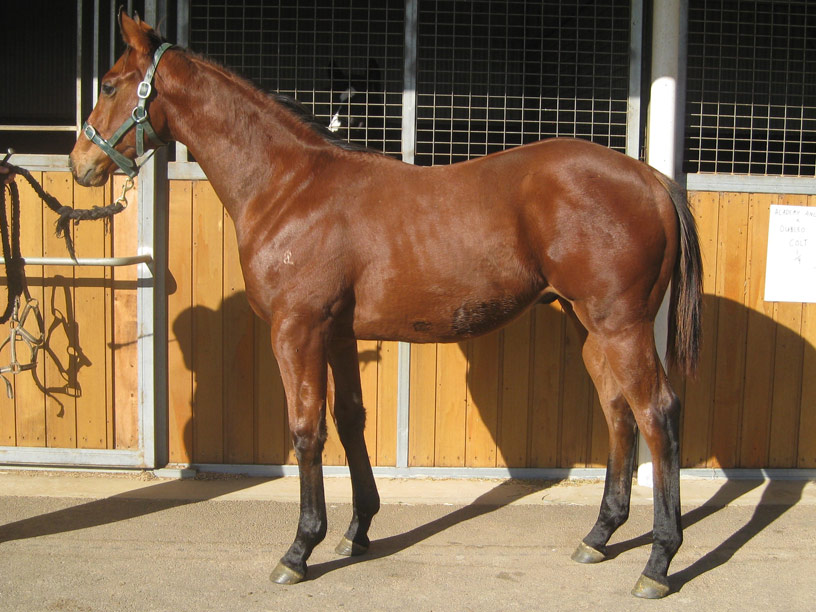 Fastnet Star - photo 1