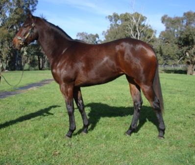 Love A Beer - photo 1