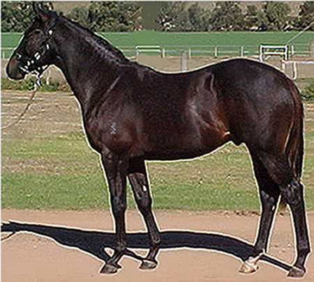 Lieutenant Lincoln - photo 1