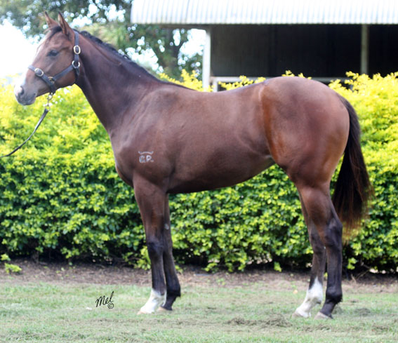 Secrets Of Success - photo 1