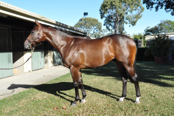 Pakleppa Lane - photo 1