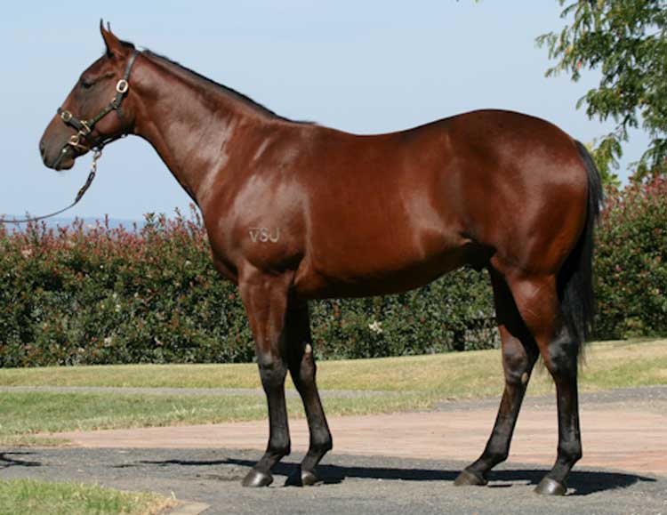 The Holy Winner - photo 1