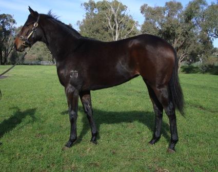 Jadetree Peggy - photo 1