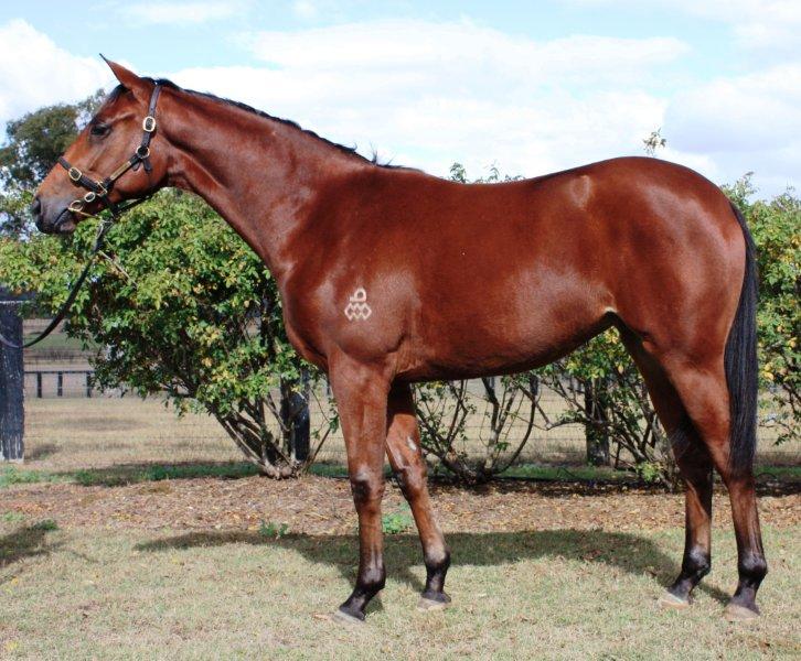 Flying Change - photo 1