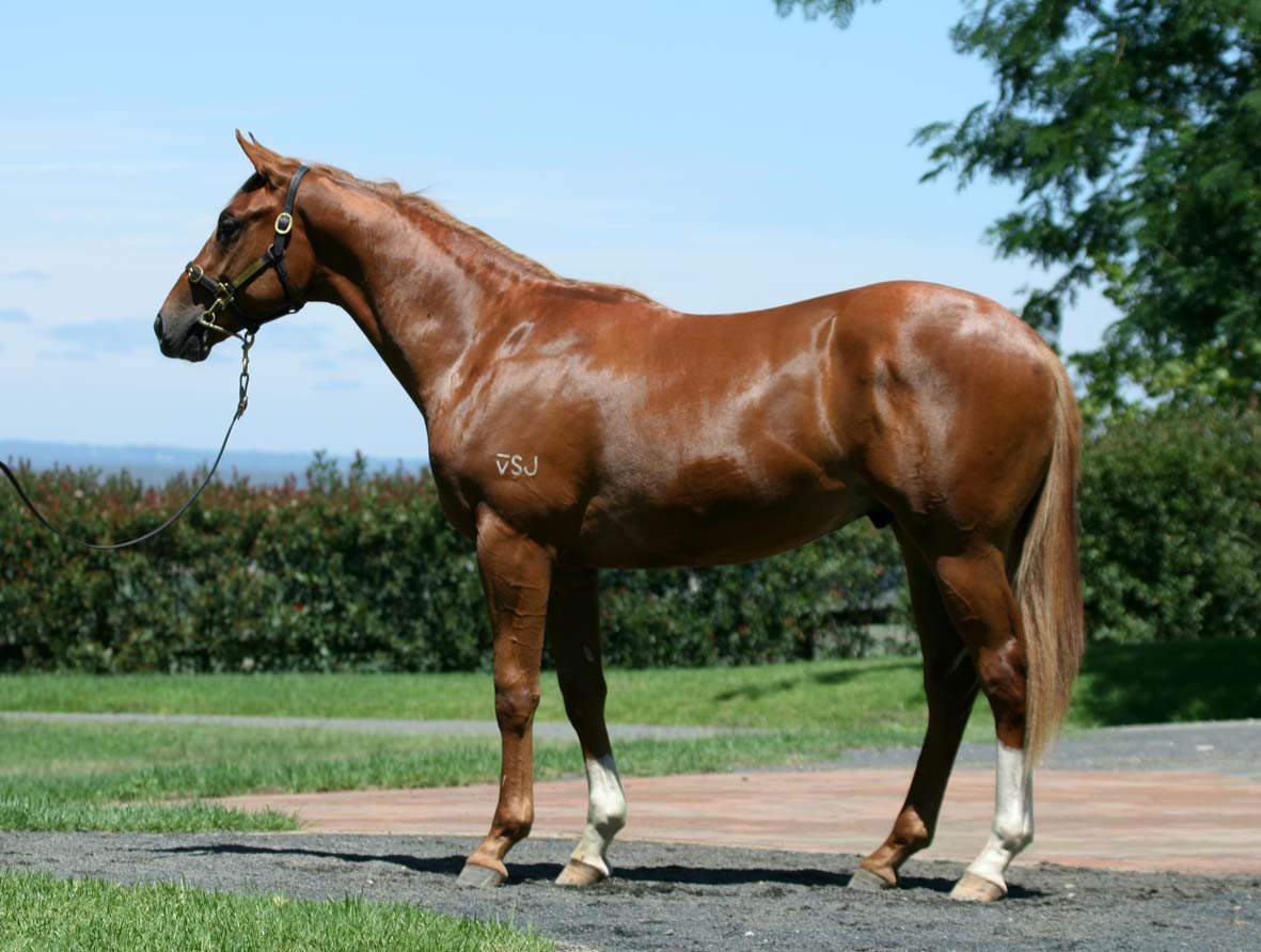 Oklahoma Thunder - photo 1