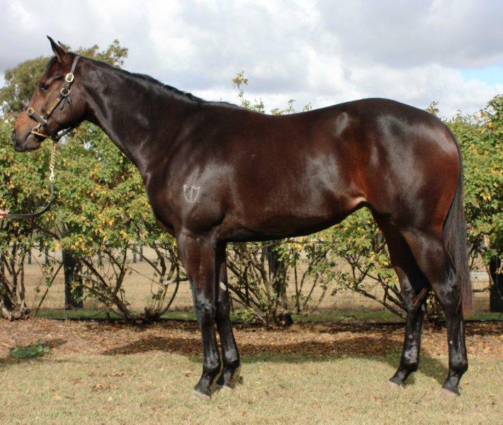 Miss Spoken (AUS) - photo 1