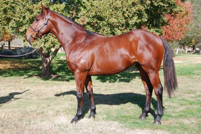 Storm Cell - photo 1