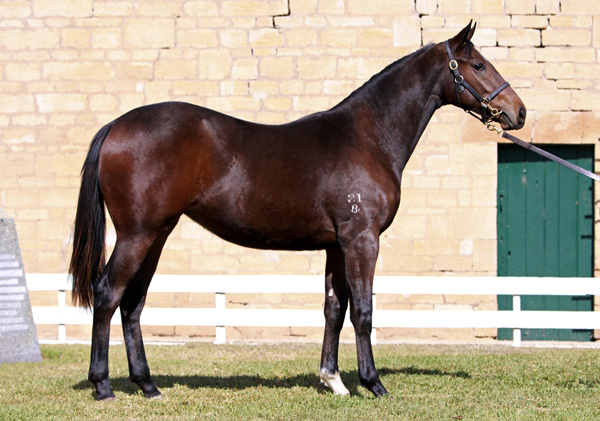 Breathing Fire - photo 1