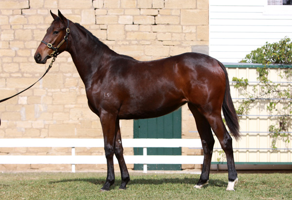 Mossy's Dragon - photo 1