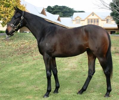 Somerset Lady - photo 1