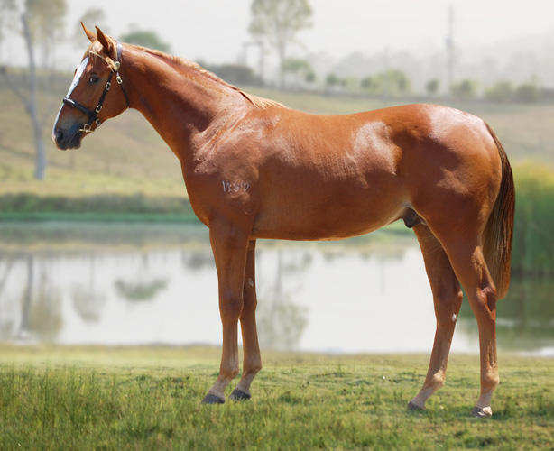 Commanche Jet - photo 1