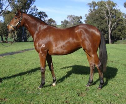 Quest For Zest - photo 1