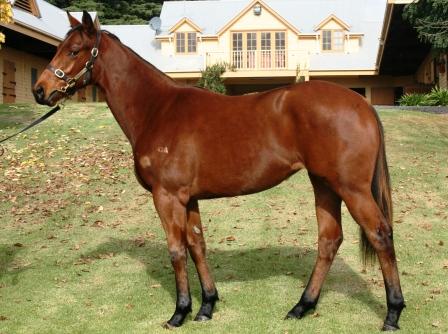 Divine Choice - photo 1