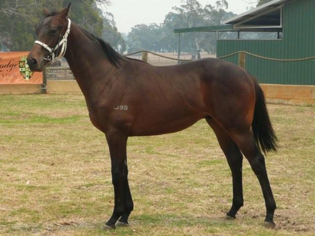 Full Reign - photo 1