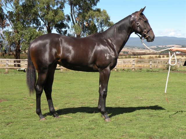 Satin 'N' Rose - photo 1