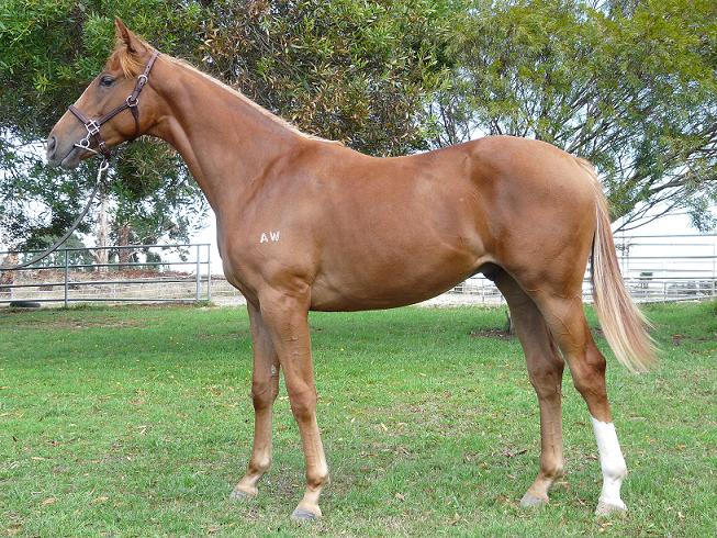 Northern Edge - photo 1