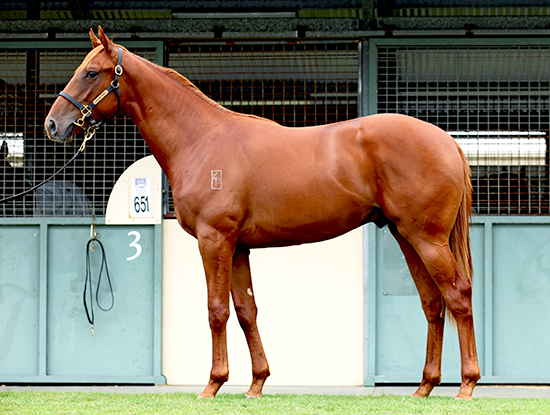 General Nick - photo 1