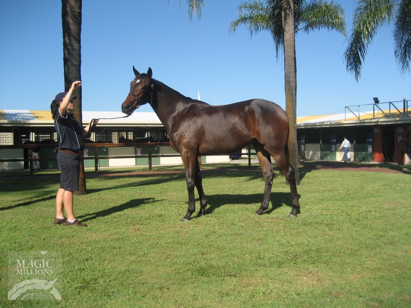 Gotitallwrong - photo 1