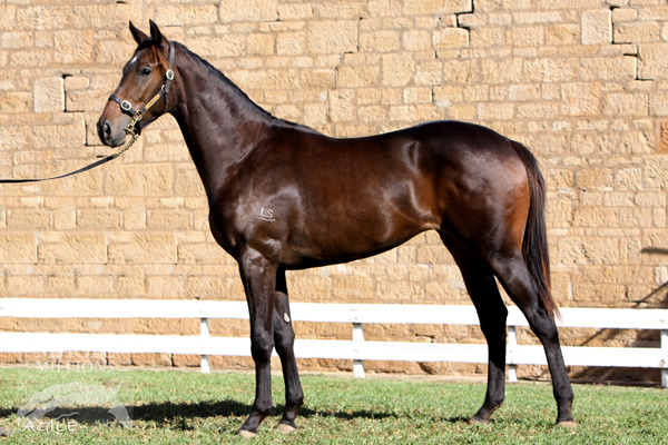 Pantalettes - photo 1