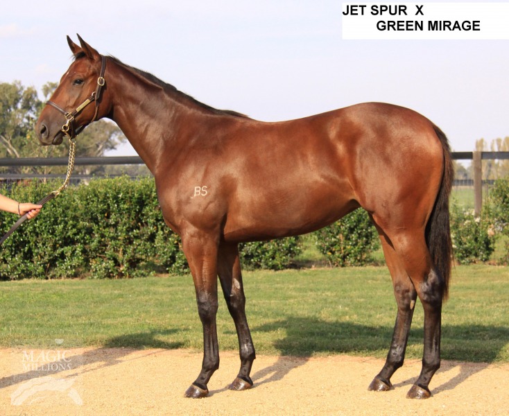 She's A Mirage - photo 1