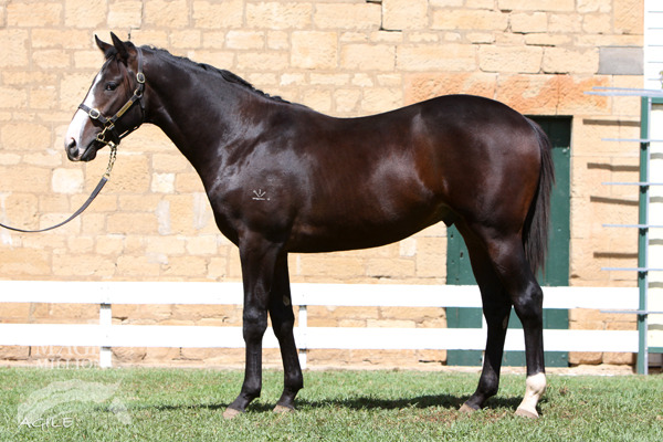 Ghost Magic - photo 1