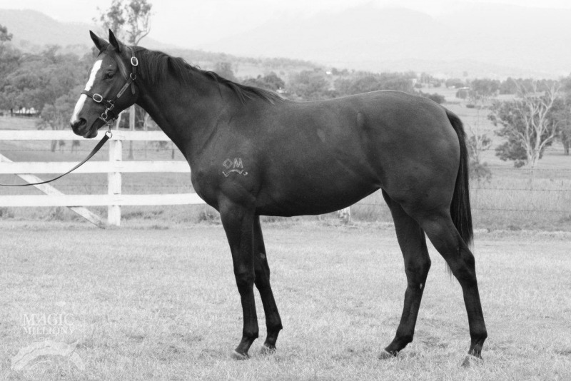 Ahsoka Tano (AUS) - photo 1