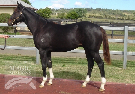 I Scream Now - photo 1