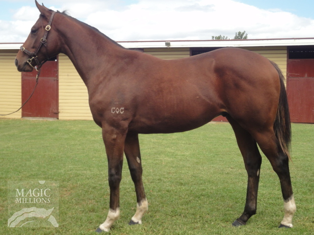 Breaking Vaults - photo 1