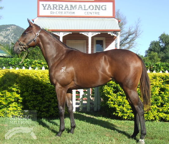 Rattle The Tin - photo 1