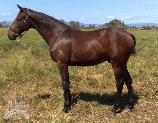 Undertheprivacyact - photo 1