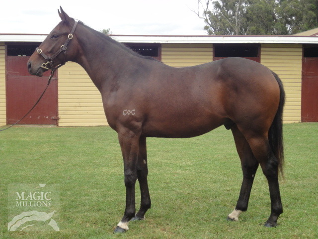 Vain Dazzler - photo 1