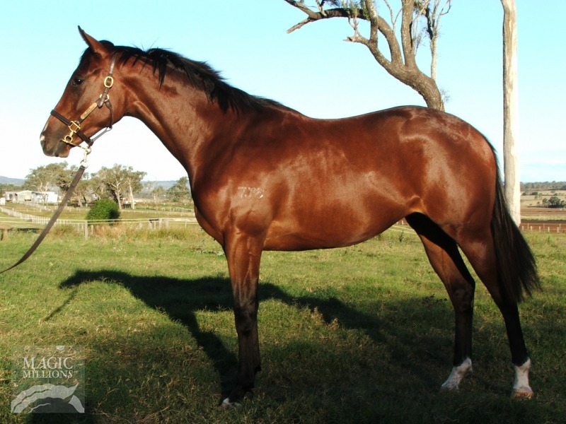 Mustaneer (USA) / Ripple (AUS) - photo 1