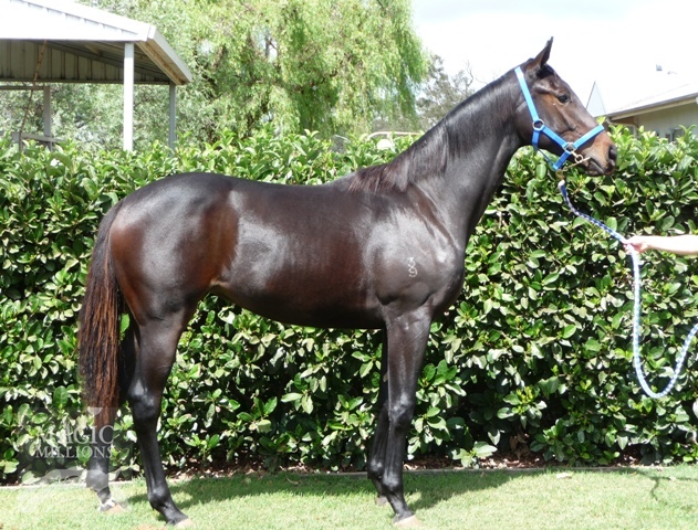 My Lega Ci - photo 1