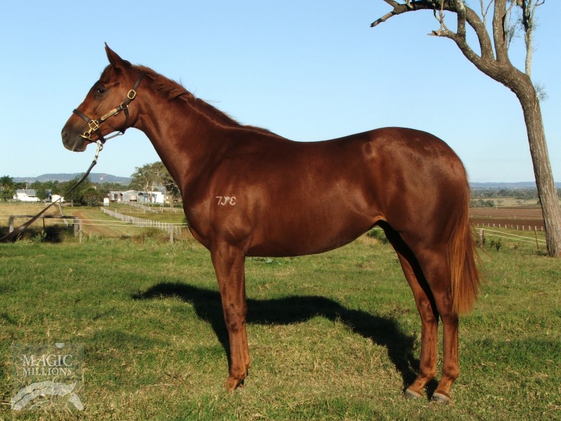 Jays Debut - photo 1