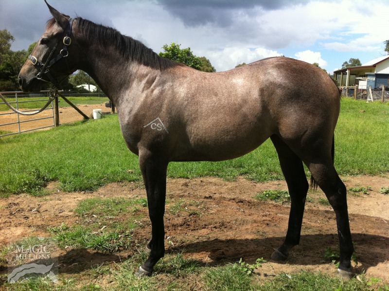 Super Sorted - photo 1