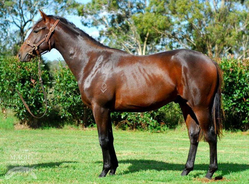 Wise Commander - photo 1