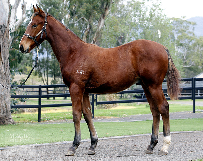 Dane's Rocket - photo 1