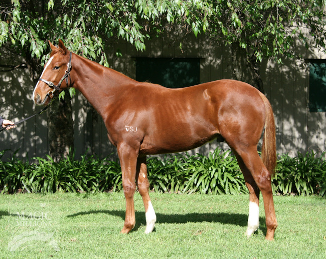 Testa My Polish (AUS) - photo 1