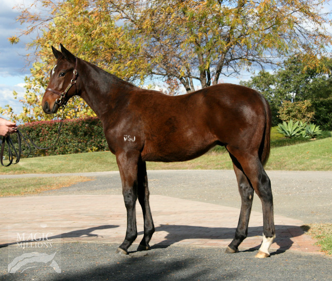 Lonhie Rocks - photo 1