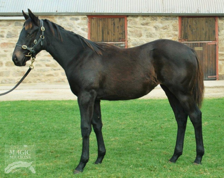 Gregers (AUS) - photo 1