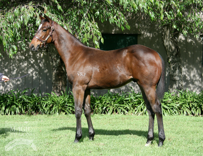 Haradasun (AUS) / Seventeen Sins (USA) - photo 1