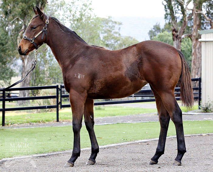 Strung Out - photo 1