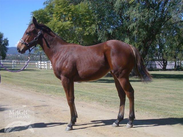 Don't Tell Joan (AUS) - photo 1