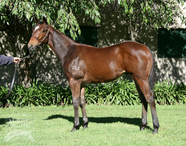 Haradasun (AUS) / August Queen (USA) - photo 1