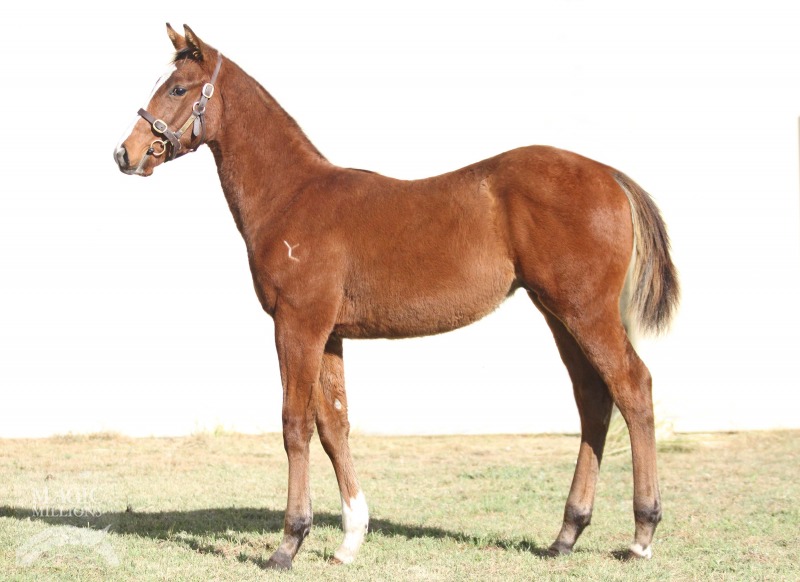 I Can Rock - photo 1