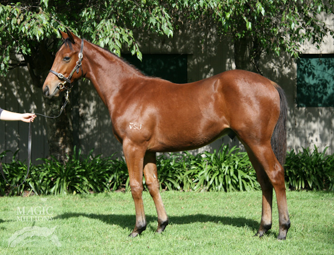 Straight Shooter - photo 1