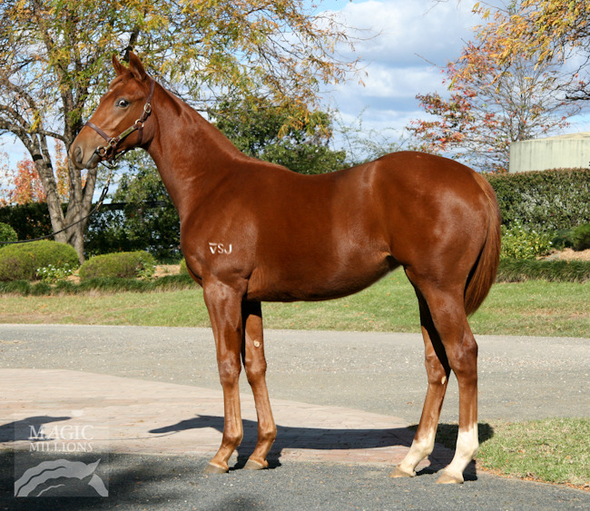 Royalsecuritybaby - photo 1