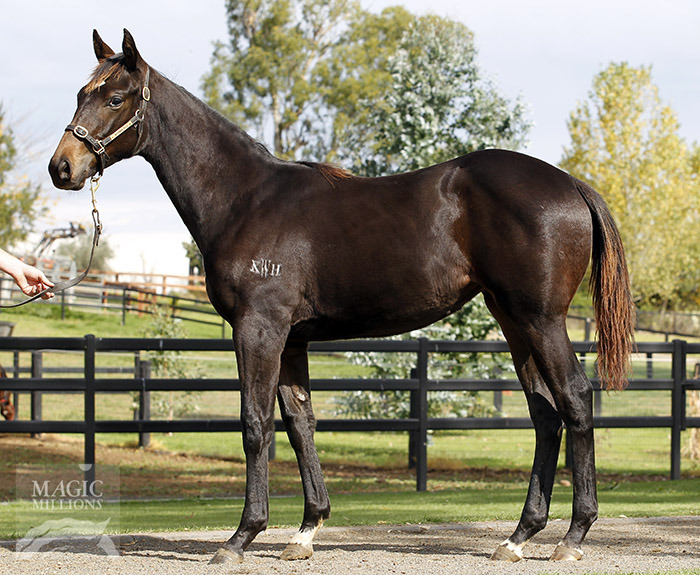 Wondering When (AUS) - photo 1