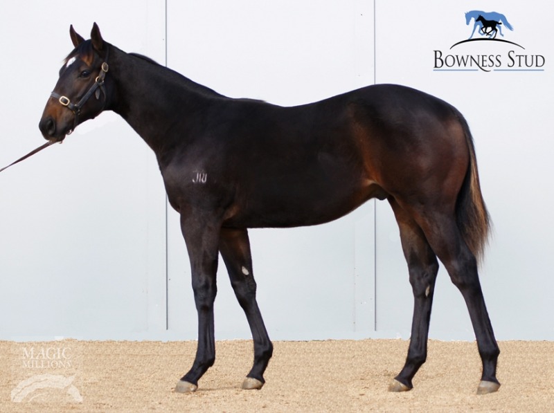 Tycoon One - photo 1